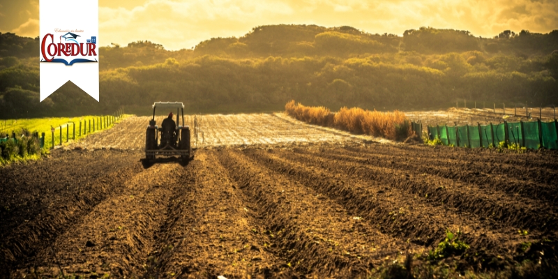 Producción Agrícola