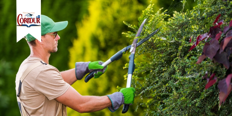 Curso de Jardinería